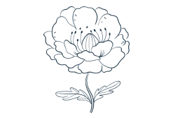 Florale Duftwelt