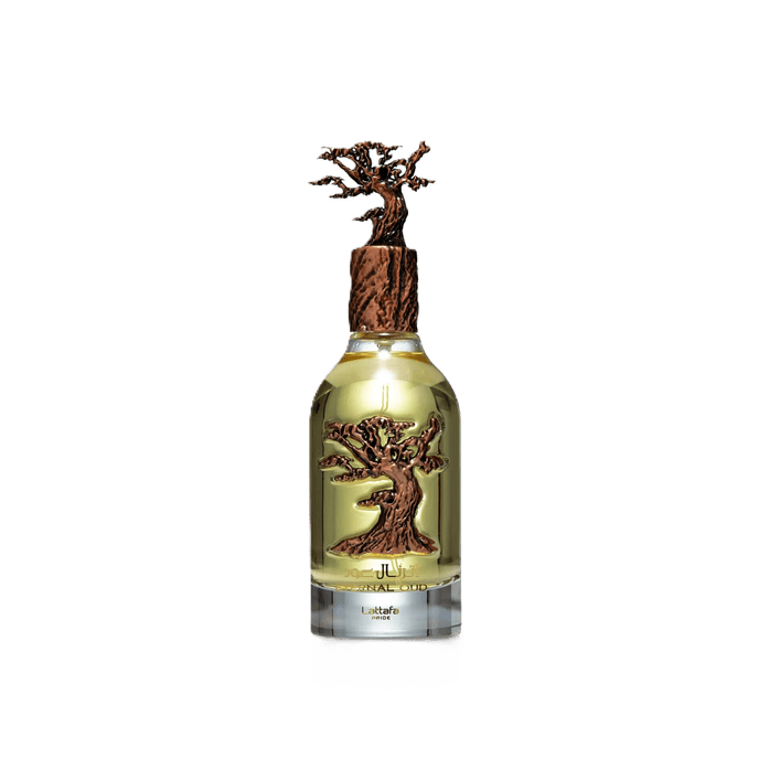 Eternal Oud Eau de Parfum – Produktbild | Maison NILIN